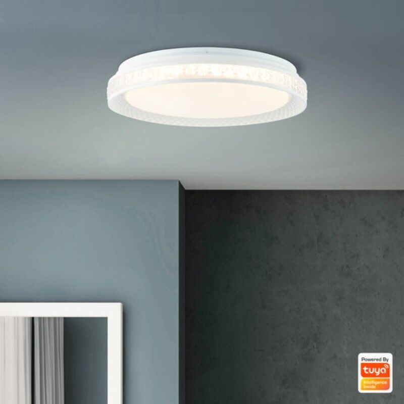 Modern smart taklampa transparent, Rashmi, 24W, varm till kall vit justerbar LED
