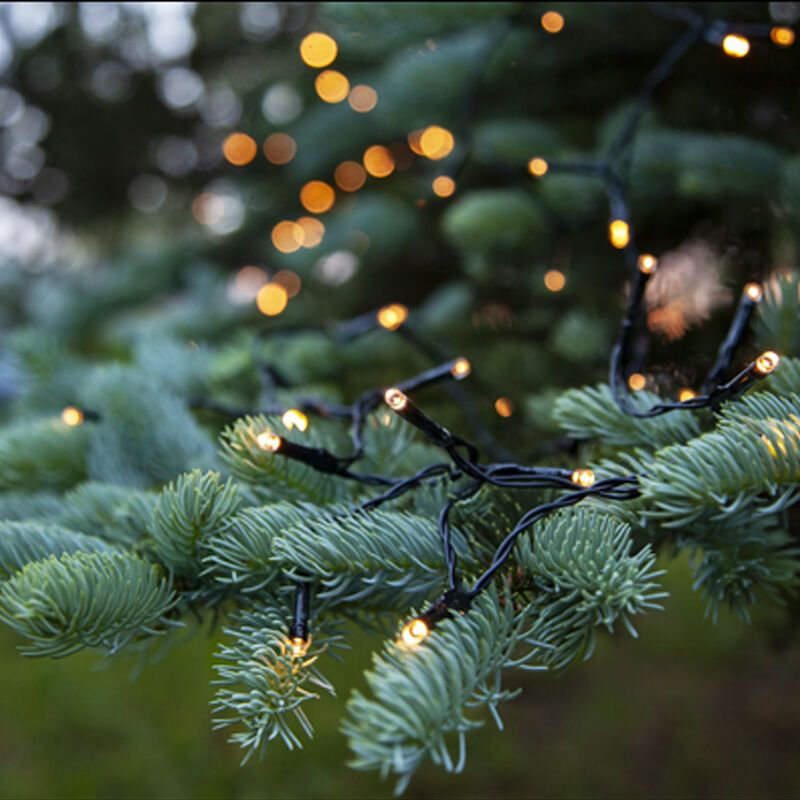 7,2m LED julbelysning på batteri, 96 lampor, inomhus och utomhus 7,2m LED julbelysning på batteri, 96 lampor, inomhus och utomhus