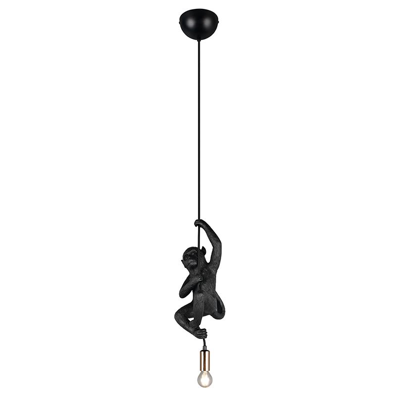 Svart fönsterlampa plast, Macaca