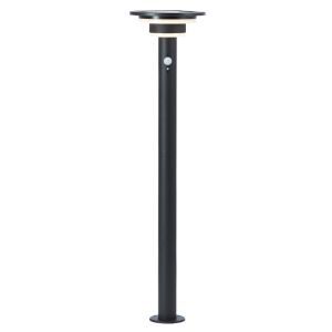 Modern golvlampa utomhus solcell svart, Lonneke, 3W, 3000K LED, IP44