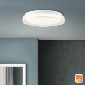 Modern smart taklampa transparent, Rashmi, 24W, varm till kall vit justerbar LED