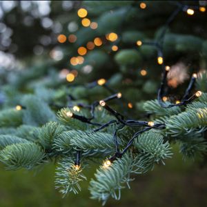 1,8m LED julbelysning på batteri, 24 lampor, inomhus och utomhus