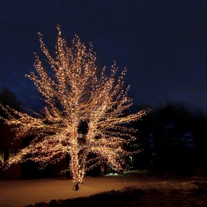 40m svart länkbar trädbelysning, 10 lysdioder p/meter, IP67 - Varmvit
