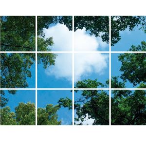 Fototryckmoln med skog - set med 12 akrylplattor med tryck, för 60x60 cm LED-paneler