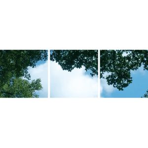 Fototryckmoln med skog - set med 3 akrylplattor med tryck, för 60x60 cm LED-paneler