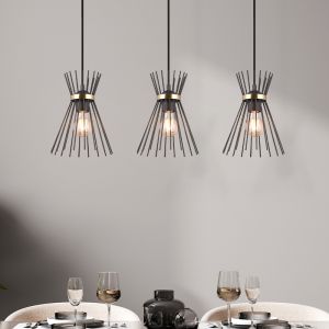 Svart fönsterlampa industri, Fransiscus