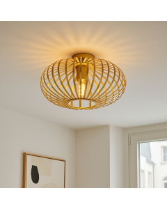 Industri plafond guld, Lieve