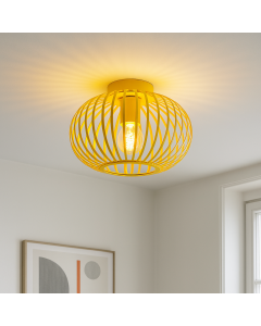 Industri plafond gul, Lieve