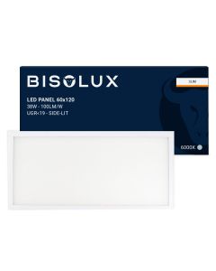 Bisolux Master LED 60x120 panel, 60W, 6000K