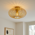 Industri plafond guld, Lieve