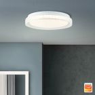 Modern smart taklampa transparent, Rashmi, 24W, varm till kall vit justerbar LED