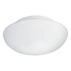 Vit plafond glas, Nieke