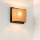 Rotting vägglampa brun, Magius