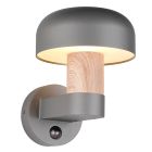 Grå utomhus vägglampa med rörelsesensor modern, Krishna, IP54