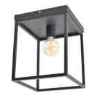Industri taklampa svart, Redox