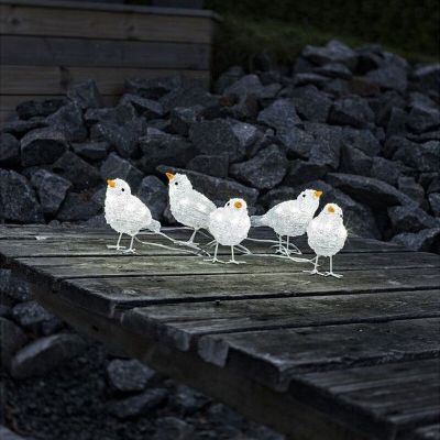 5 LED-fåglar, för inomhus och utomhus