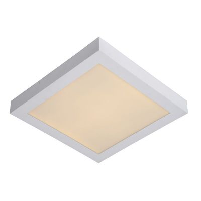 Vit plafond modern, Brice, 30W, 3000K LED, IP44