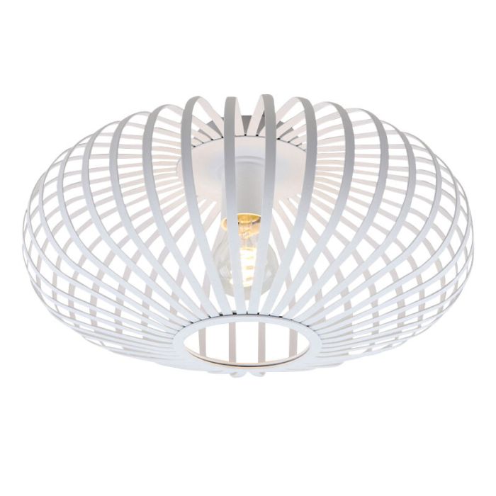 Industri plafond vit, Lieve