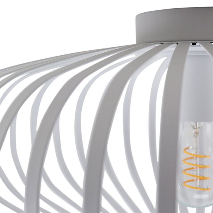 Industri plafond vit, Lieve
