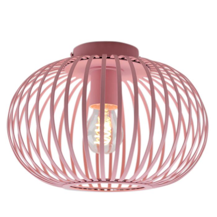Industri plafond rosa, Lieve