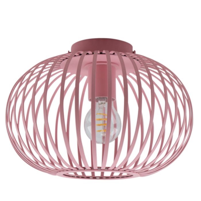 Industri plafond rosa, Lieve