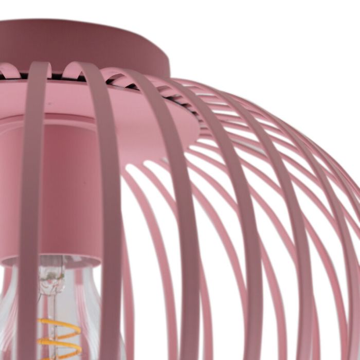Industri plafond rosa, Lieve