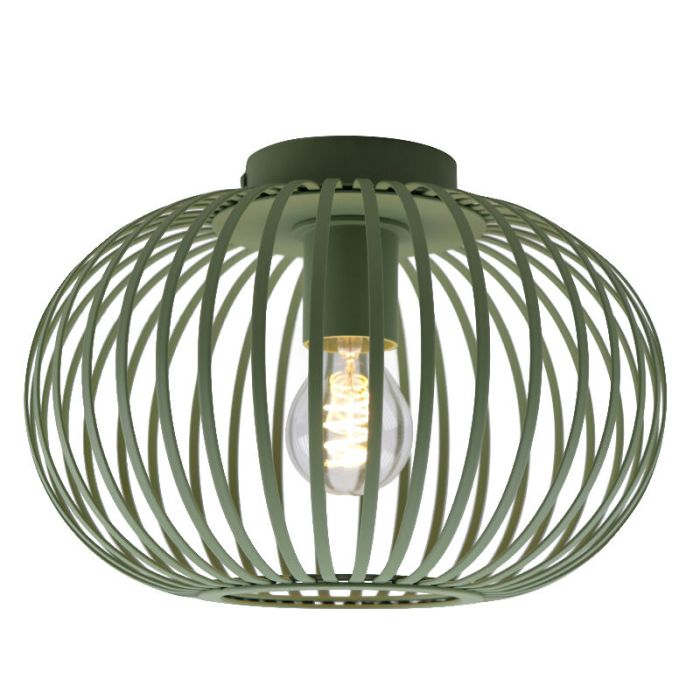 Industri plafond grön, Lieve