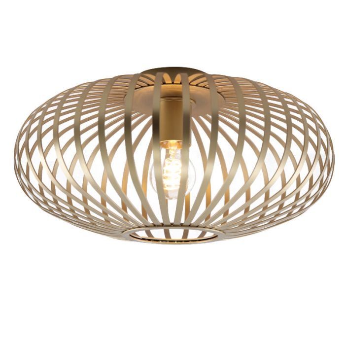 Industri plafond guld, Lieve