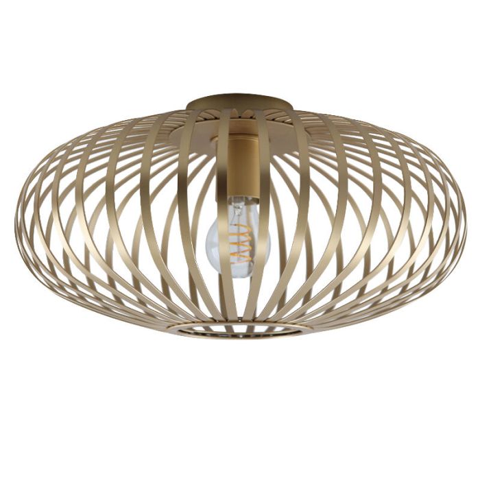 Industri plafond guld, Lieve