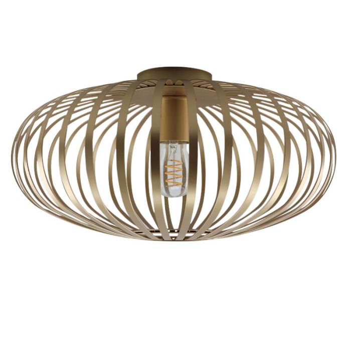 Industri plafond guld, Lieve