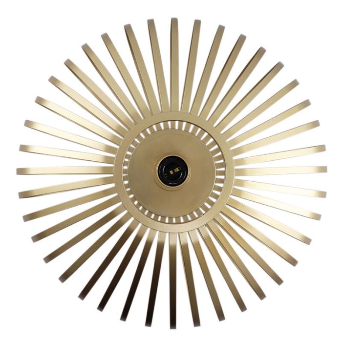 Industri plafond guld, Lieve