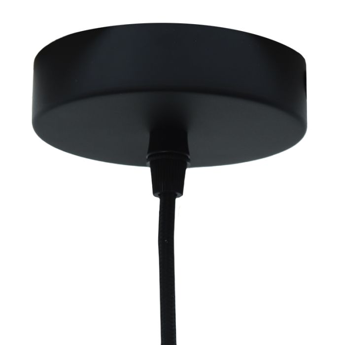 Rotting fönsterlampa grå, Roza
