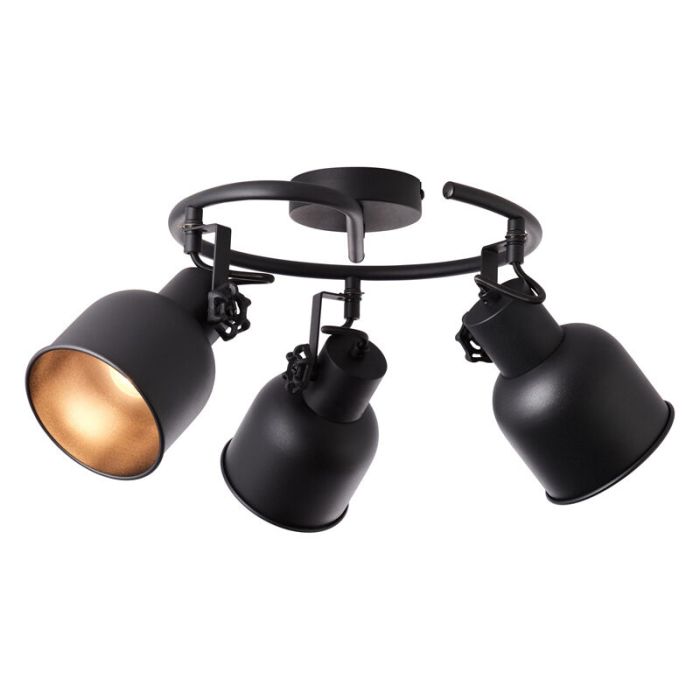 Industri spotlight tak svart, Shiva