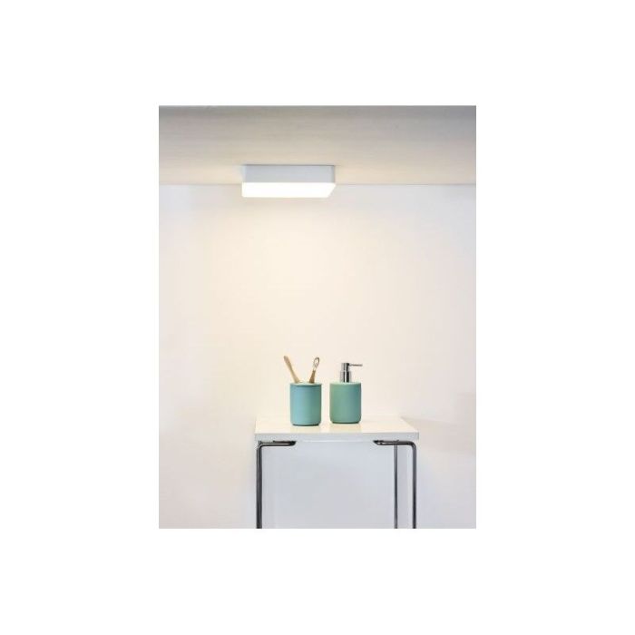 Vit plafond modern, Ceres, 30W, 3000K LED, IP44