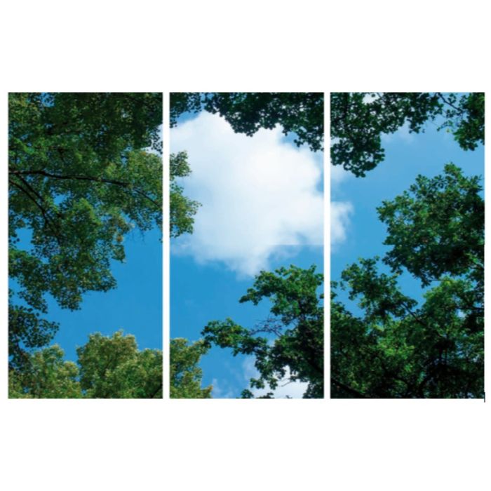 Fototryckmoln med skog - set med 3 akrylplattor med tryck, för 120x60 cm LED-paneler