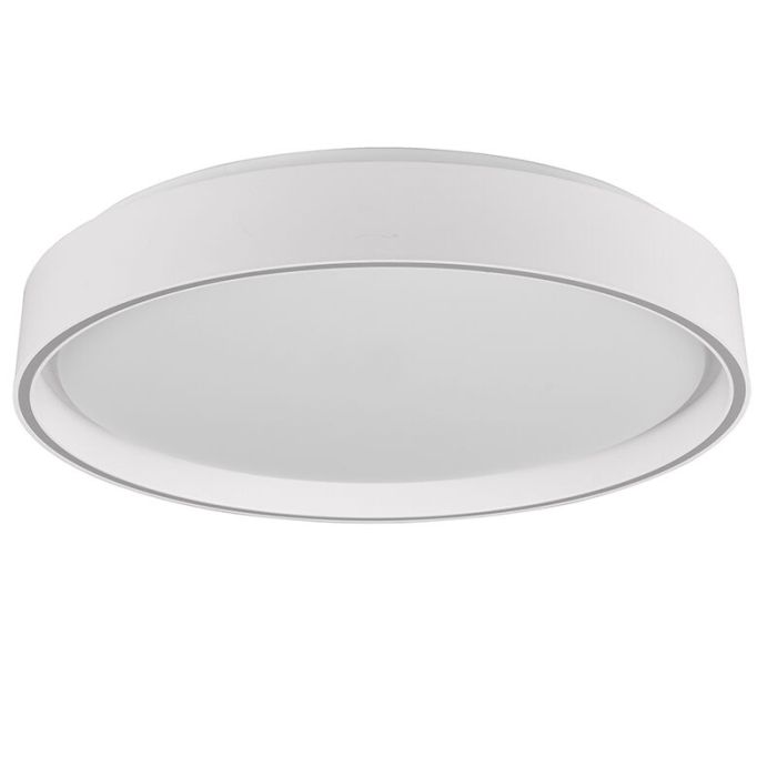 Vit plafond plast, Deon, 24W, varm till kall vit justerbar LED