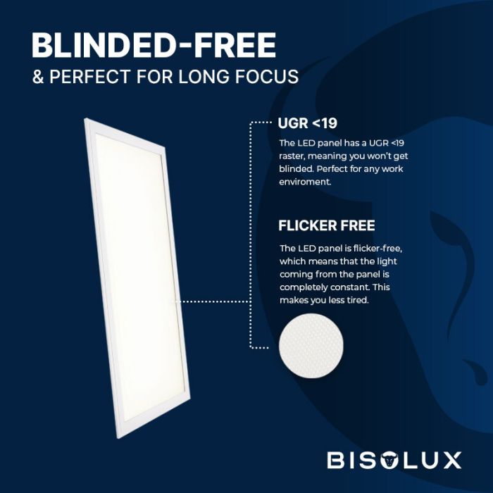 Bisolux Master LED 30x120 panel, 38W, 4000K